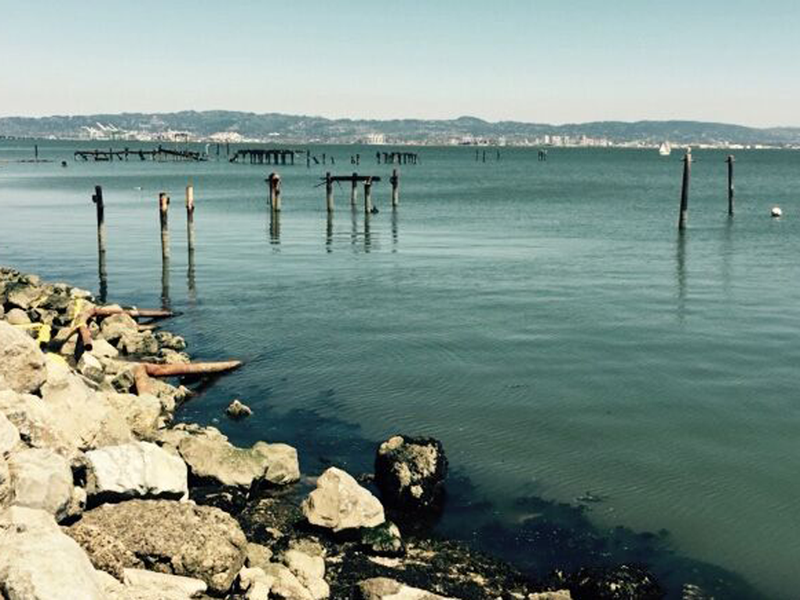 Bay Front Park | Mission Bay Parks