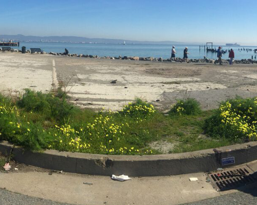Bay Front Park | Mission Bay Parks