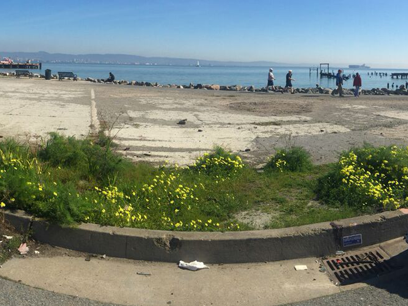 Bay Front Park | Mission Bay Parks