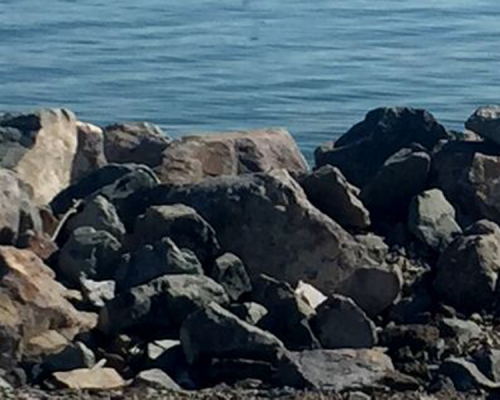 Bay Front Park | Mission Bay Parks