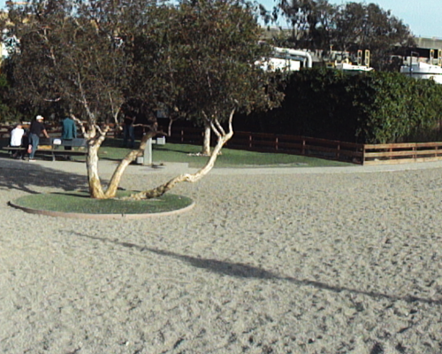 Mission Bay Dog Park