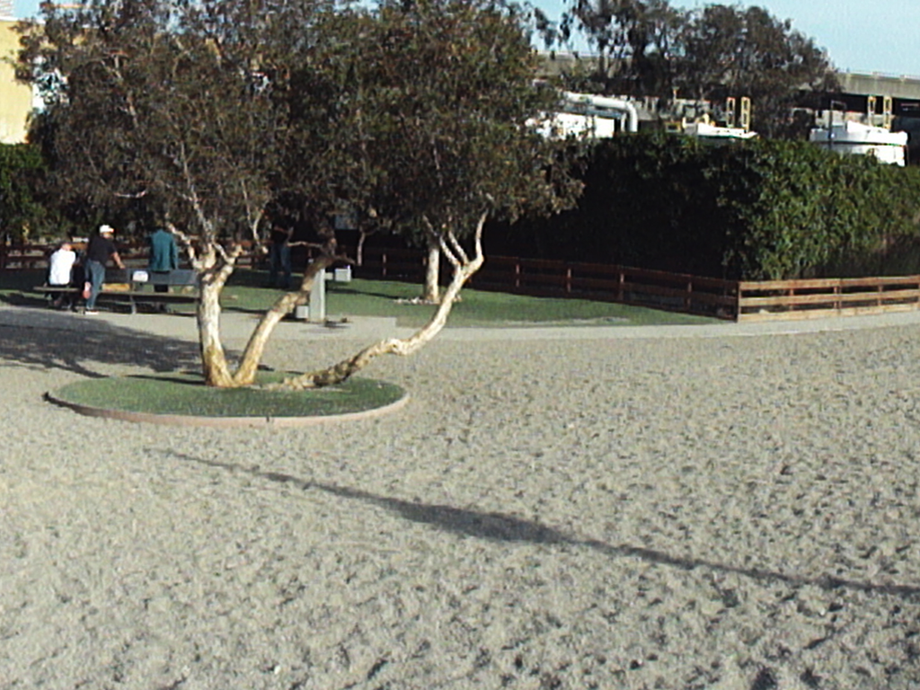Mission Bay Dog Park