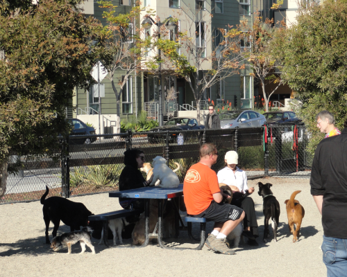 Mission Bay Dog Park