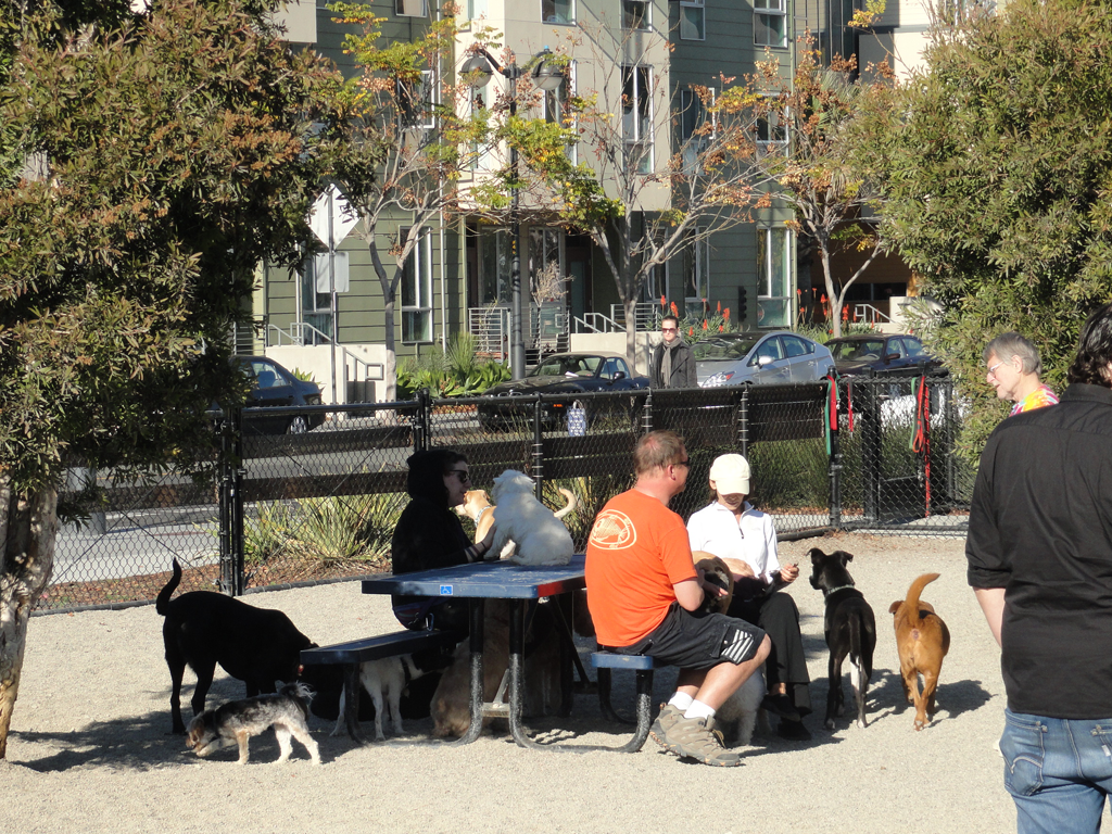Mission Bay Dog Park
