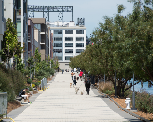 Mission Creek Park Esplanade | Mission Bay Parks