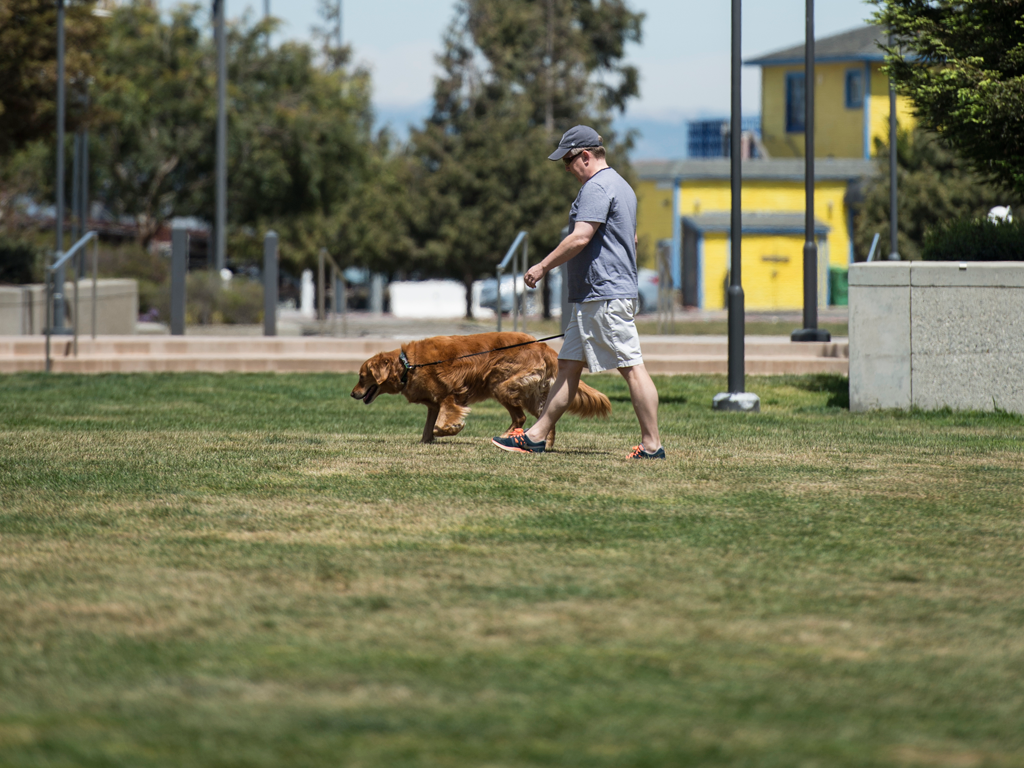 MBCommons_ManDogWalk_1024x768