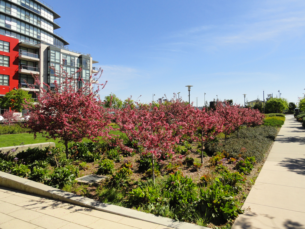 MBP_More_Parks1A_1024x768