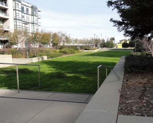 Mission Bay Parks | Mission Bay Commons