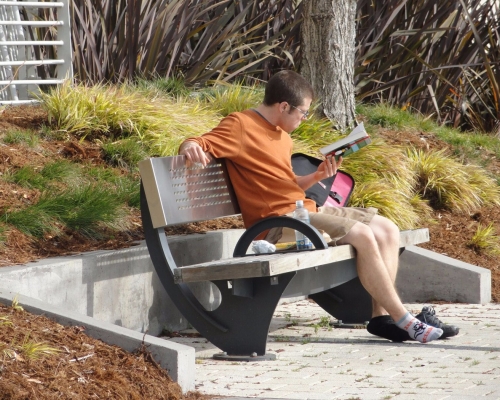 Man_ReadingOnBench_1400w
