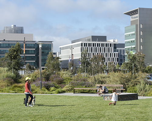 Mariposa Park | Mission Bay Parks