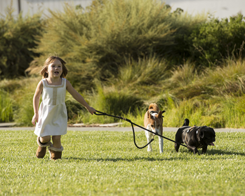 Mariposa Park | Mission Bay Parks