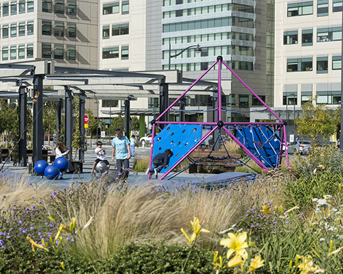 Mariposa Park | Mission Bay Parks