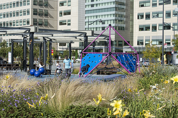 Mariposa Park | Mission Bay Parks