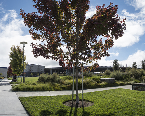 Mariposa Park | Mission Bay Parks