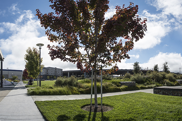 Mariposa Park | Mission Bay Parks