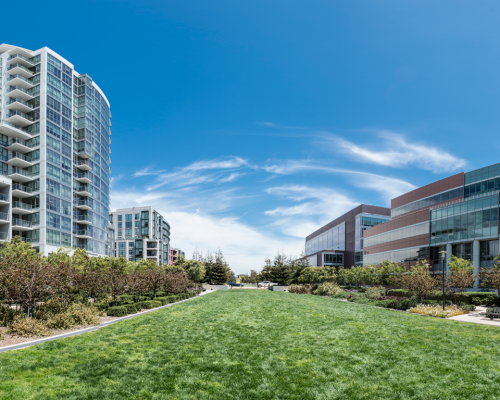 Mission Bay Parks | Mission Bay Commons