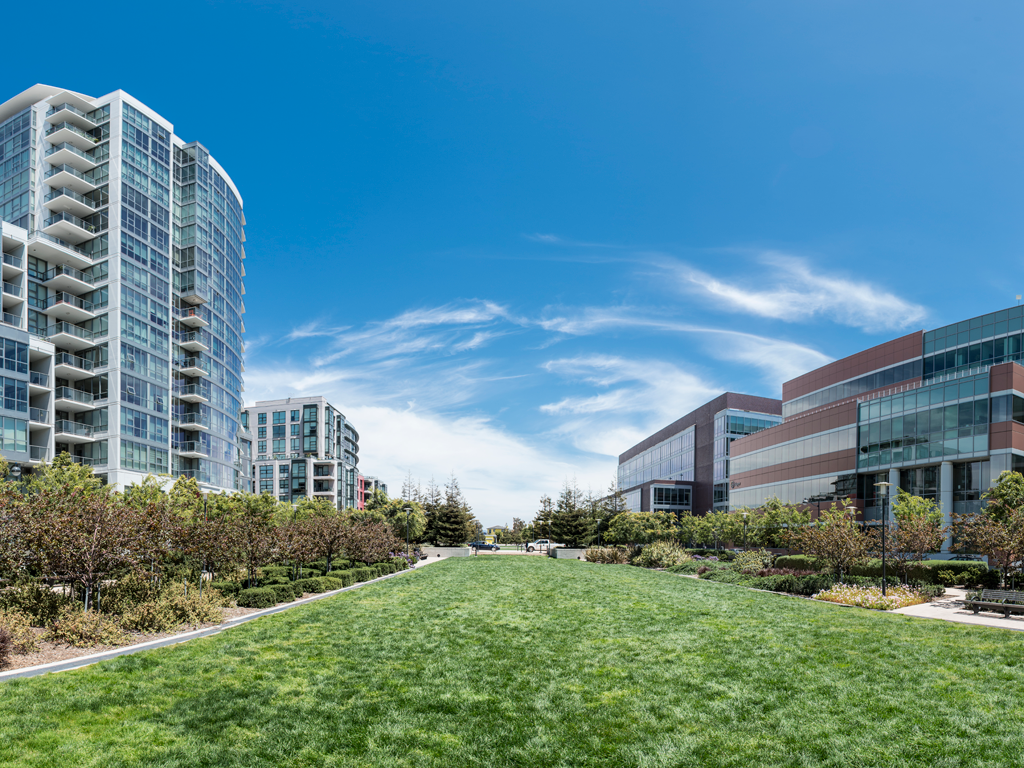 Mission Bay Parks | Mission Bay Commons