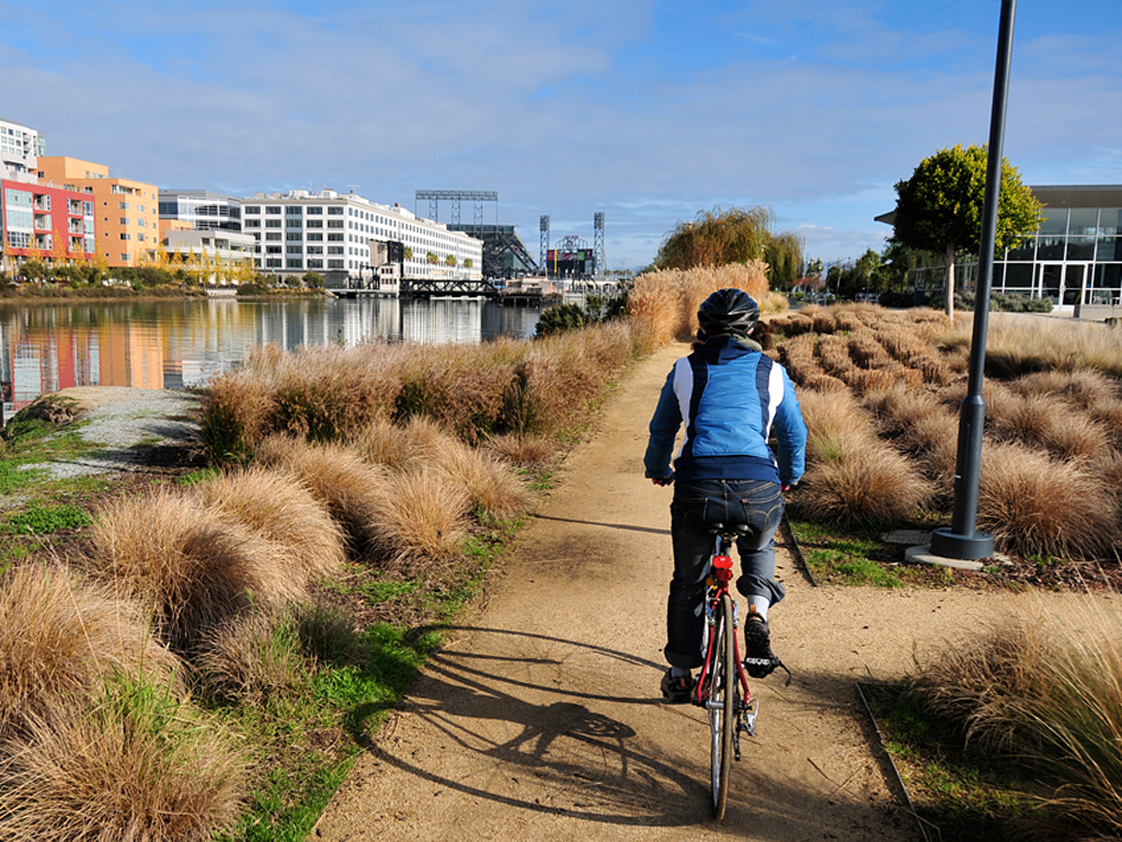 Mission Creek Park | Mission Bay Parks