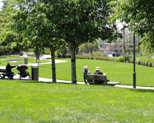 Mission Creek Park | Mission Bay Parks