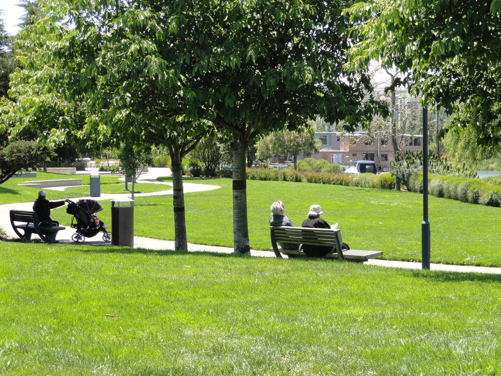 Mission Creek Park | Mission Bay Parks