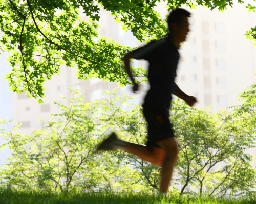 Mission Bay Parks | Run+Walk_Bike