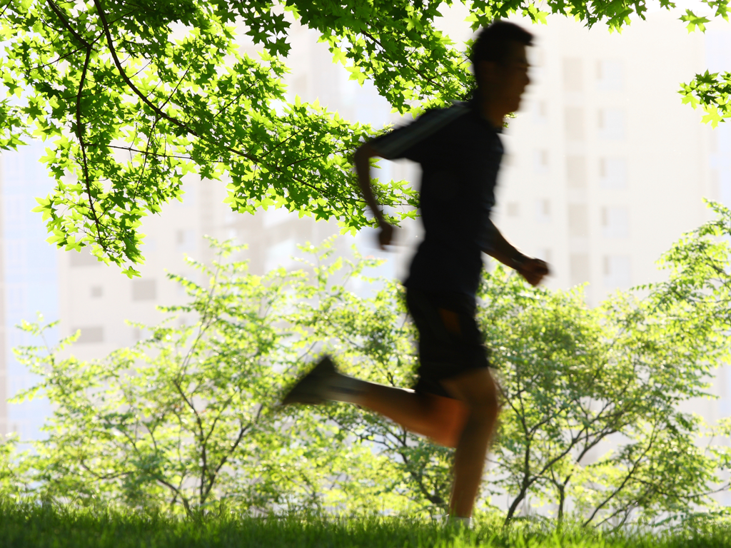 Mission Bay Parks | Run+Walk_Bike