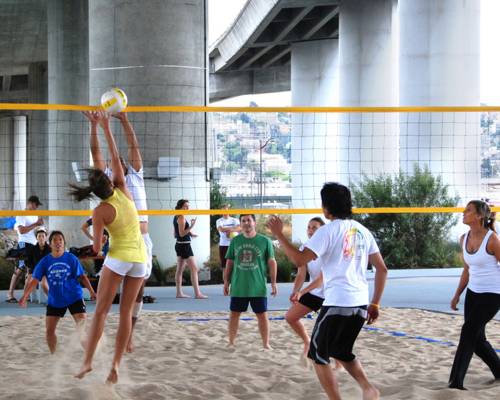 Mission Bay Parks | Volleyball